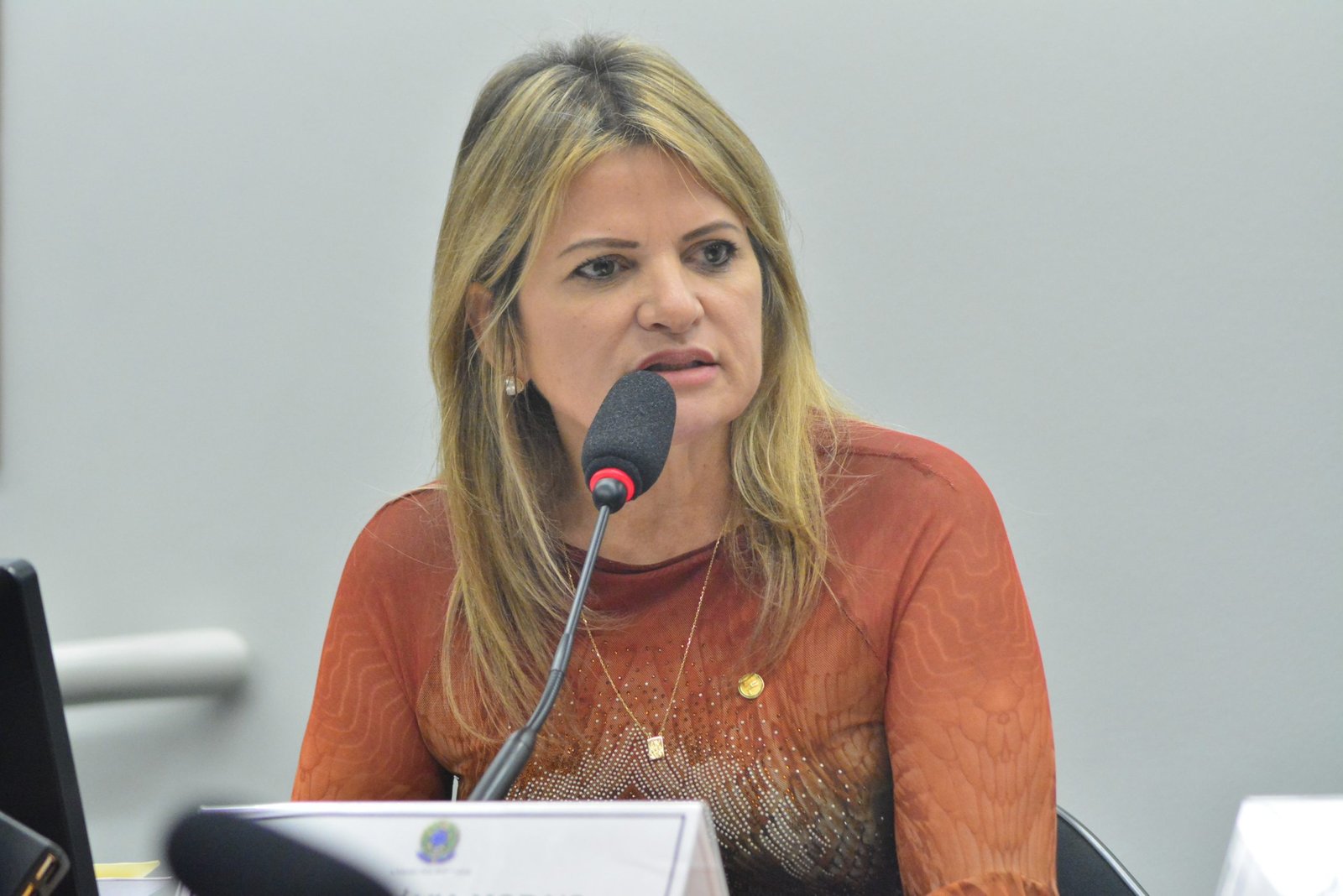 Aprovado parecer de Flávia Morais a projeto que cria de programa de prevenção e tratamento da endometriose