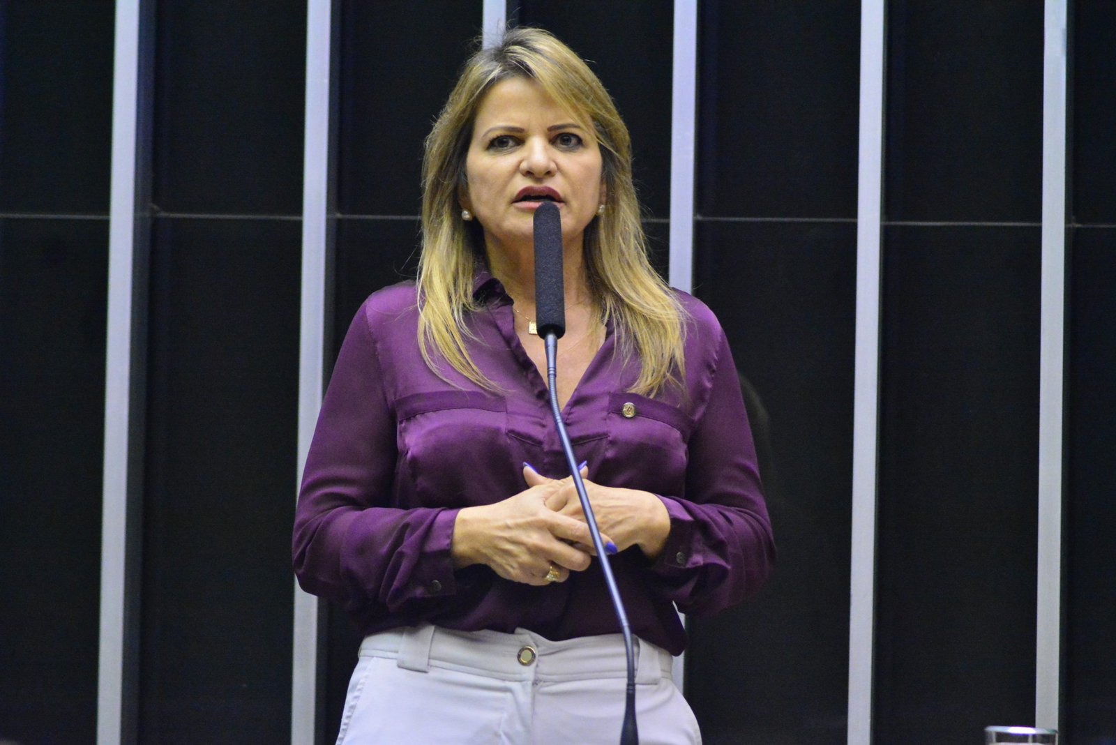 Proposta de Flávia Morais proíbe ultraprocessados na merenda escolar