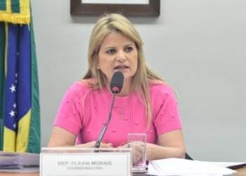 Proposta de Flávia Morais inclui ‘direito ao cuidado’ na Constituição Federal