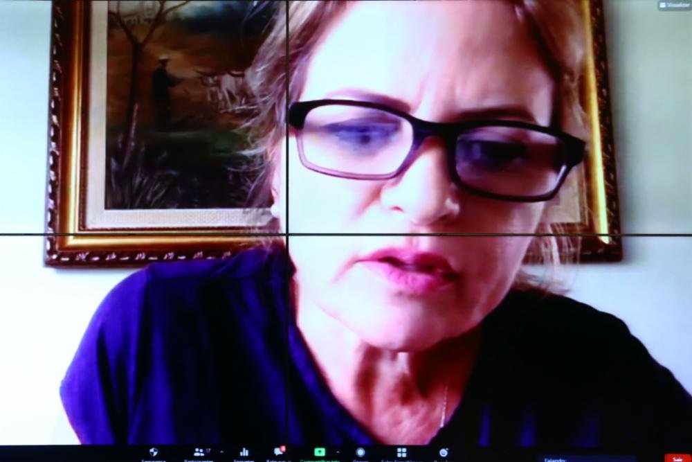 Parecer aprovado de Flávia Morais reconhece a profissão de Arteterapia