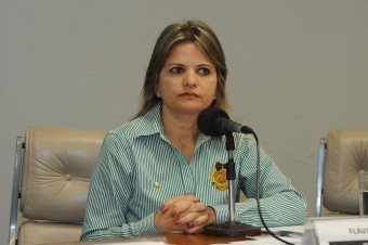 Flávia Morais propõe detector de metal em locais com concentração de mais de duzentas pessoas