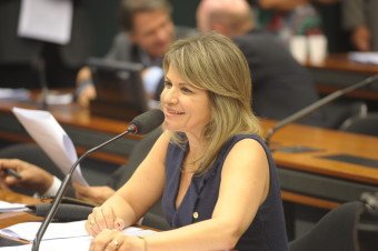 Pronto para pauta em Plenário PL que inclui chip de identificação em armas de fogo