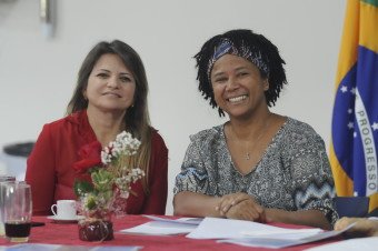 Comissão externa vai acompanhar casos de violência doméstica e feminicídio no País