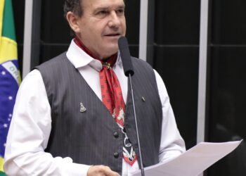 Deputado Pompeo de Mattos (PDT-RS)