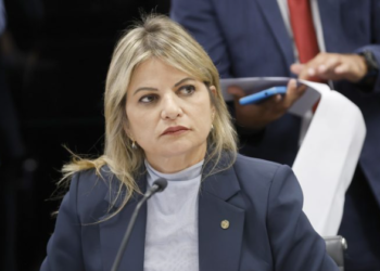 Comissão de Saúde aprova serviço de apoio para gestantes em situação de vulnerabilidade social