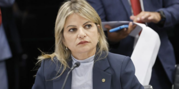 Comissão de Saúde aprova serviço de apoio para gestantes em situação de vulnerabilidade social