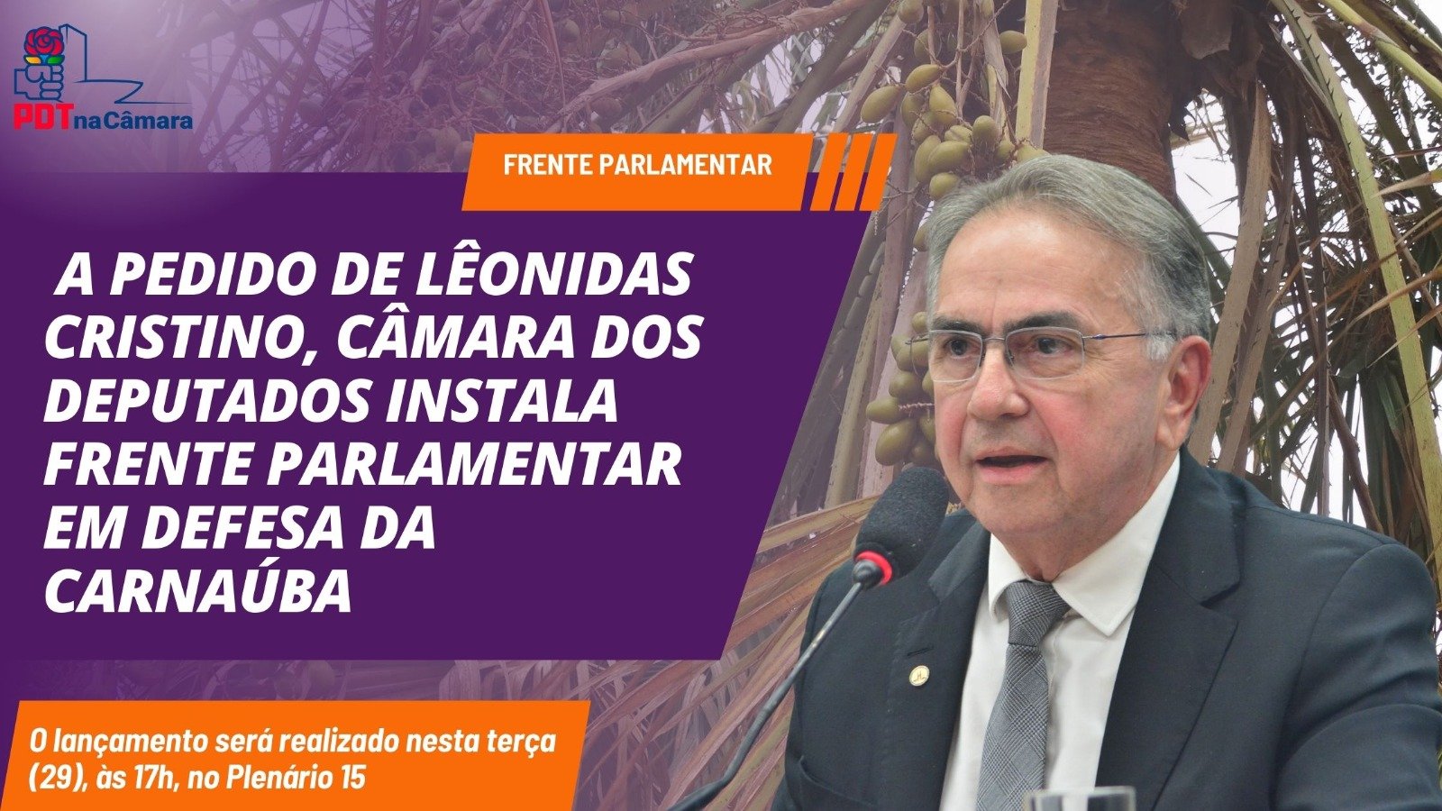 Solicitada por Leônidas Cristino, Câmara instala Frente Parlamentar em Defesa da Carnaúba