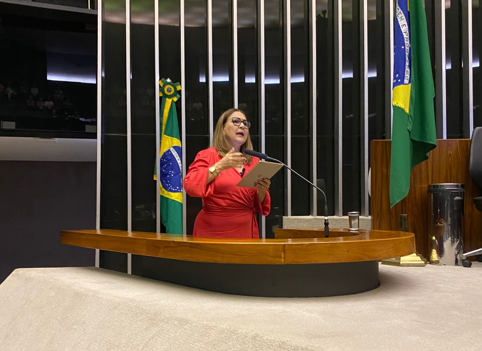 Câmara instala subcomissão requerida por Professora Goreth para avaliar o aprendizado pós-pandemia