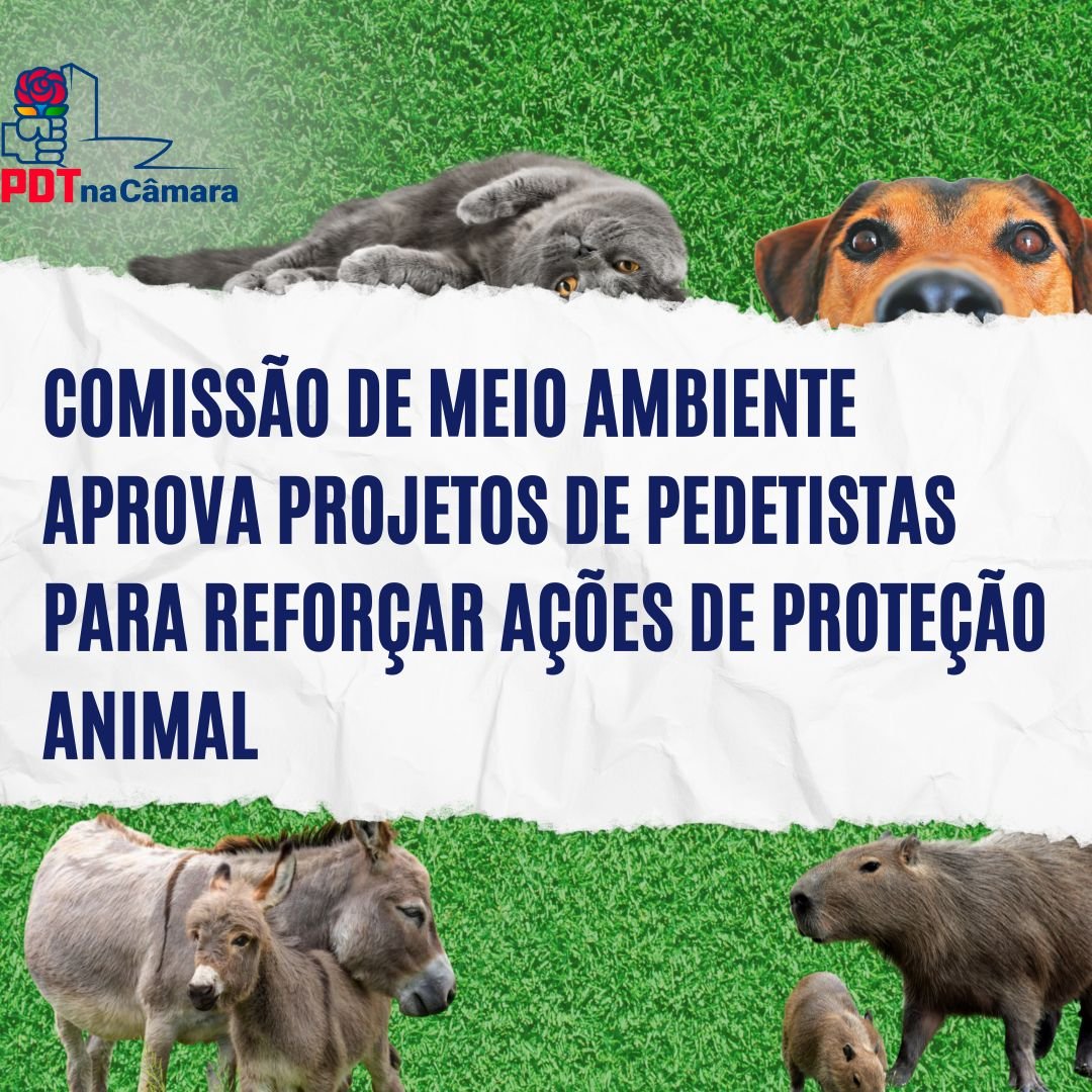 Meio Ambiente aprova projetos de pedetistas com ações de proteção animal