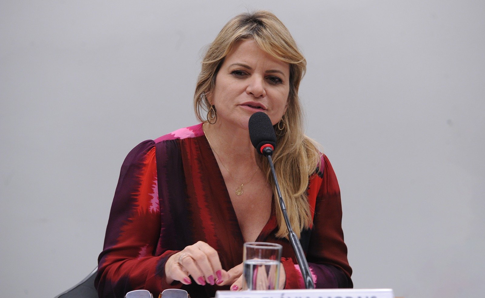 Comissão de Saúde aprova requerimentos de Flávia Morais para realização de seminários