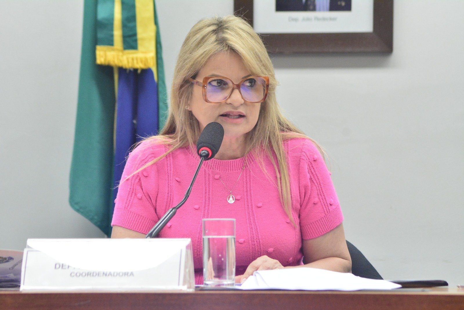 Comissão do Esporte aprova relatório de Flávia Morais com diretrizes ao subsistema do desporto indígena