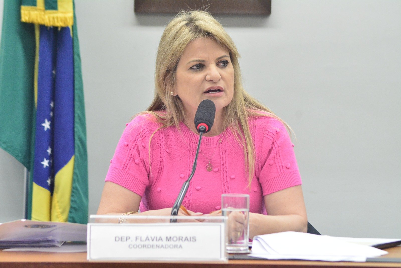 Comissão de Trabalho aprova relatório de Flávia Morais à proposta que beneficia trabalhador que atua em área externa