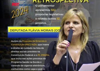 Flávia Morais – Retrospectiva 2024