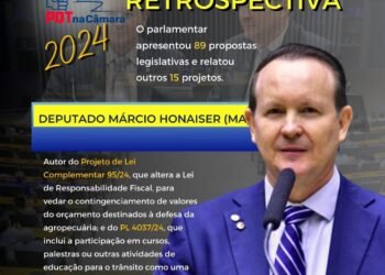 Márcio Honaiser – Retrospectiva 2024