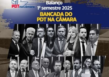 Balanço 2025: Bancada do PDT na Câmara aprova mais de 200 propostas e promove debates de interesse nacional