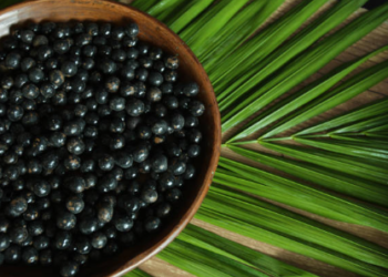 Comissão debate projeto que dá a Belém (PA) o título de “Capital Nacional do Açaí”