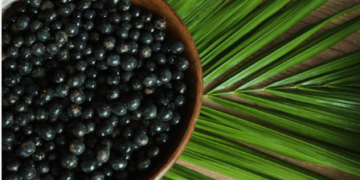 Comissão debate projeto que dá a Belém (PA) o título de “Capital Nacional do Açaí”