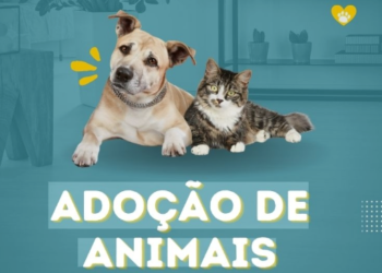 Aprovado na comissão de Ciência e Tecnologia Programa Abrigo Digital proposto por Marcos Tavares