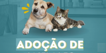 Aprovado na comissão de Ciência e Tecnologia Programa Abrigo Digital proposto por Marcos Tavares