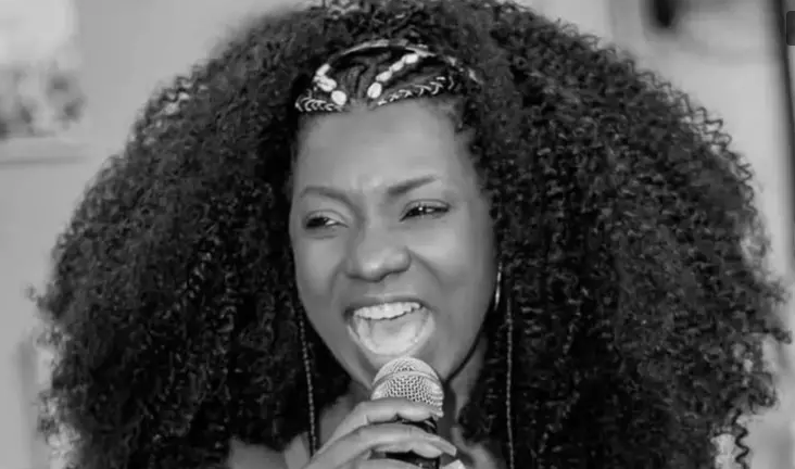 Comissão de Cultura aprova requerimento de Duda Salabert com moção de pesar por morte de cantora mineira