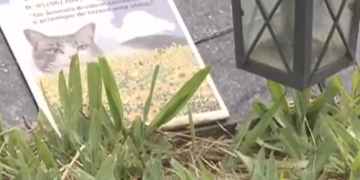 Marcos Tavares propõe criar área específica para sepultar pets e em jazigo familiar