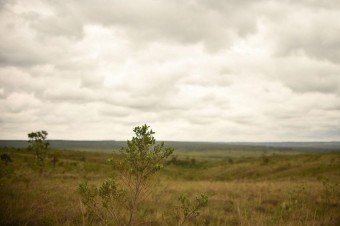 Seminário na Câmara dos Deputados discute a importância do Cerrado