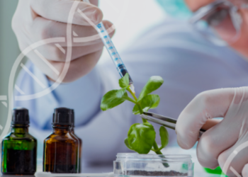 Projeto de André Figueiredo cria programa que favorece estudantes da agricultura familiar