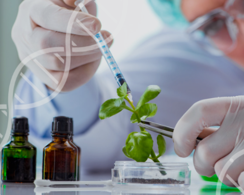 Projeto de André Figueiredo cria programa que favorece estudantes da agricultura familiar