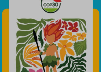 Subcomissões da Câmara e do Senado discutem eixos temáticos e o papel do Parlamento na COP30