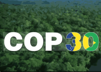 Pedestistas são coautores de projeto que cria portal de informações estratégicas sobre o clima