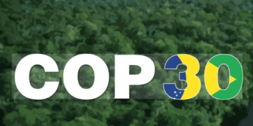 Pedestistas são coautores de projeto que cria portal de informações estratégicas sobre o clima