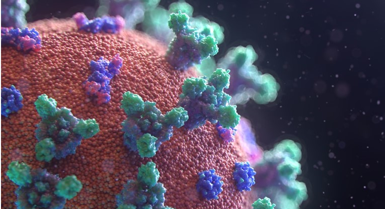 Câmara aprova projetos com medidas de combate ao coronavírus