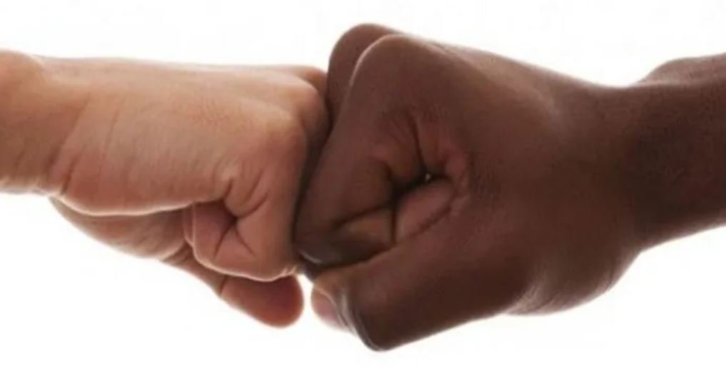 PDT vai ao STF para defender política de cotas