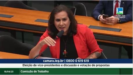 Duda Salabert é eleita vice-presidenta da Comissão de Trabalho da Câmara
