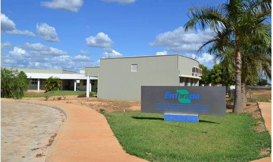 Márcio Honaiser pede instalação da Embrapa em Balsas, MA