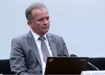 Projeto de André Figueiredo que destina recursos para a castração de cães e gatos é aprovado na Comissão de Meio Ambiente