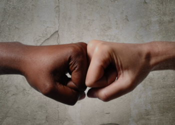 Duda Salabert e Leo Prates integram comissão que vai analisar PEC da promoção da igualdade racial