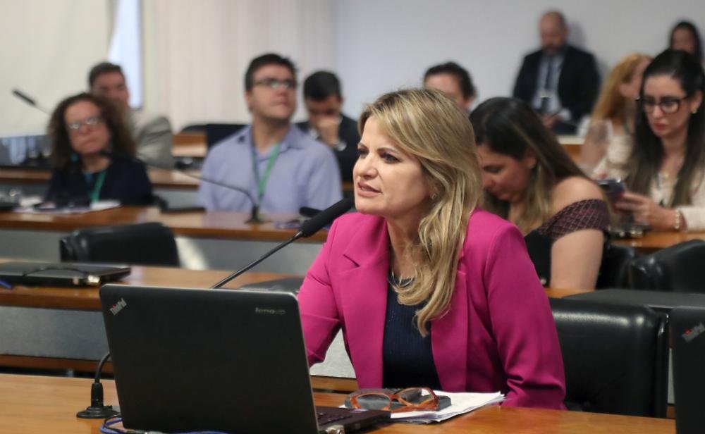 Comissão aprova relatório de Flávia Morais ao projeto que prevê programa de saúde mental específico para pessoas idosas