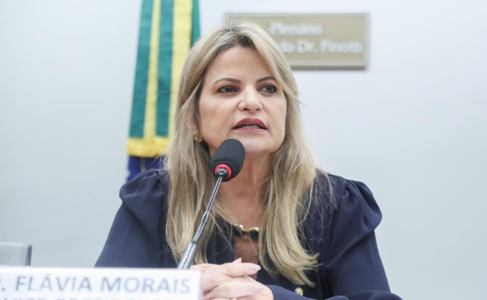 Comissão de Constituição e Justiça aprova “Agosto Branco” e “Dia Nacional da Identidade” propostos por Flávia Morais