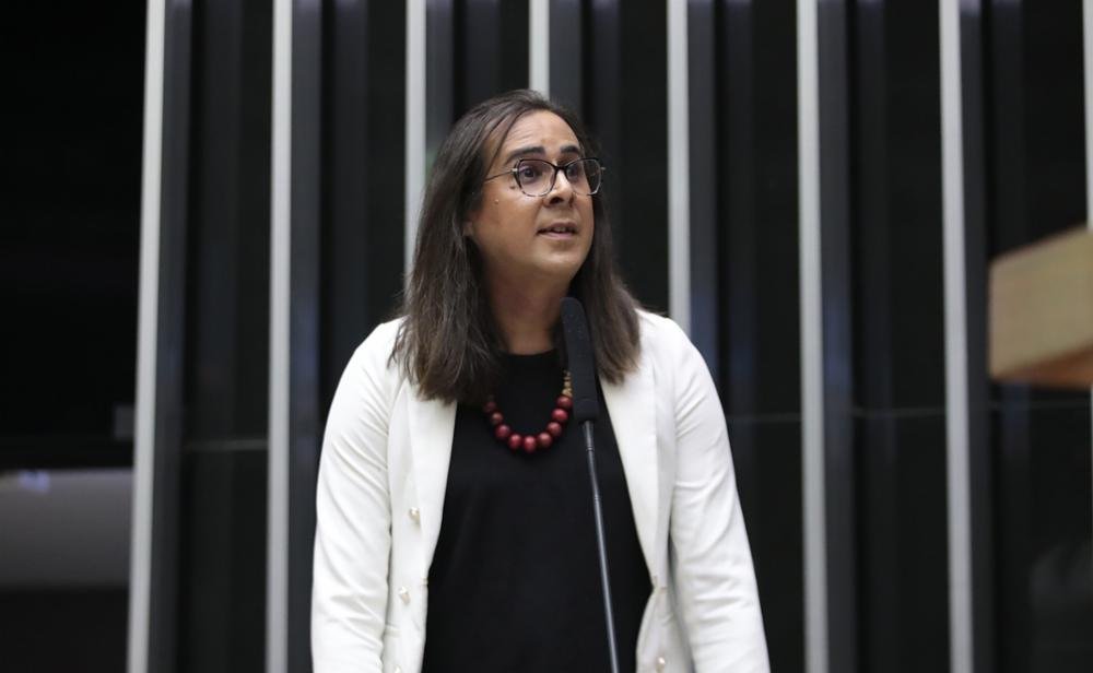 Duda Salabert propõe “Dia Nacional para a Ação Climática”