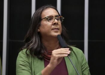 Duda Salabert apresenta projeto para impedir anistia a crimes contra a democracia