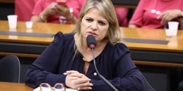 Aprovado parecer de Flávia Morais a projeto que facilita realocação de mulher em situação de violência doméstica