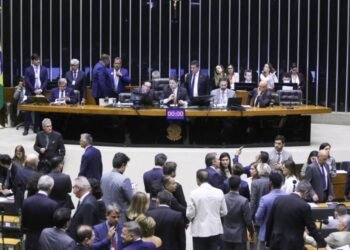Pedetistas votam por derrubada do veto presidencial ao projeto que dispensa beneficiário do BPC de perícia médica