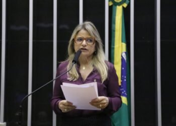 Comissão de Defesa dos Direitos da mulher aprova relatório de Flávia Morais a projeto que cria o orçamento mulher