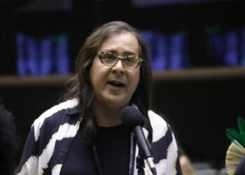 Plenário aprova proposta de coautoria de Duda Salabert com política de educação para lidar com desastres