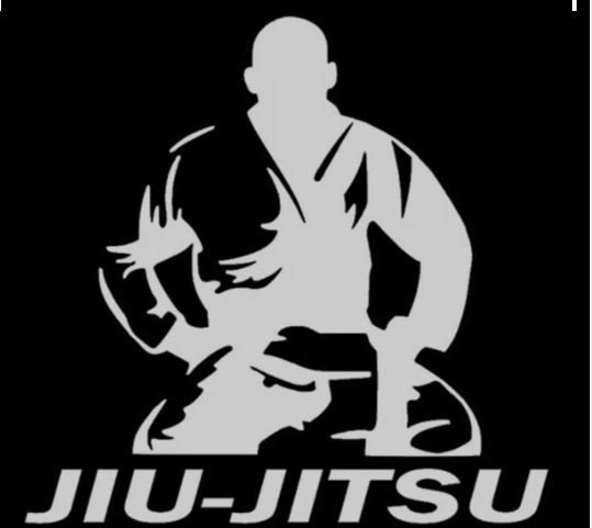 Comissão de Cultura aprova projeto de Flávia Morais que torna o Jiu-Jitsu como manifestação da cultura brasileira