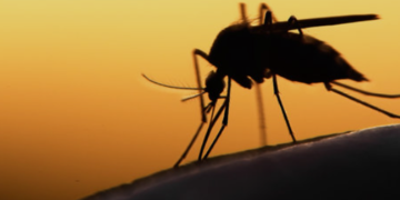 Proposta de Dorinaldo cria o dia de campanha para prevenir e combater a malária