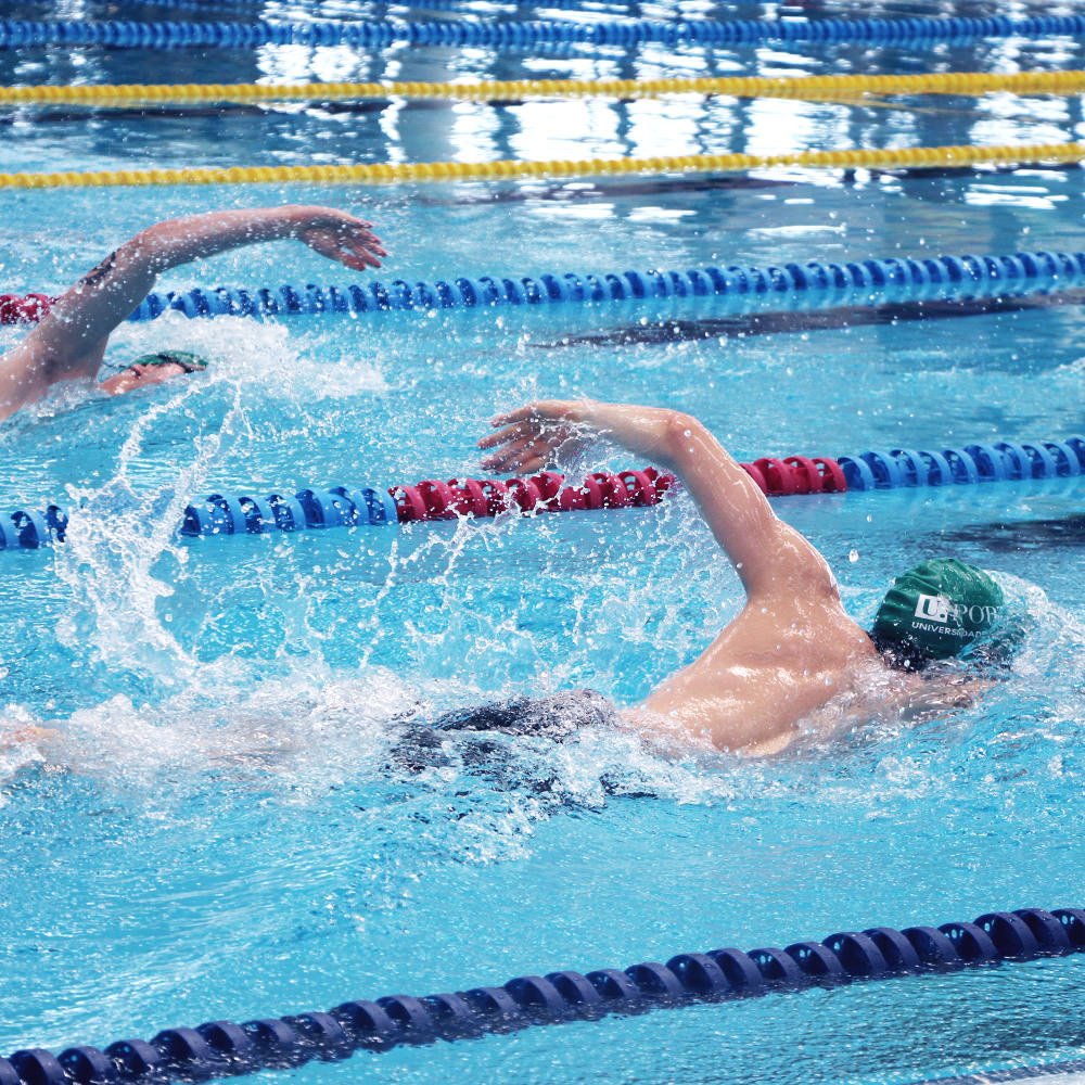 Entra em vigor lei que cria o Dia Nacional da Natação
