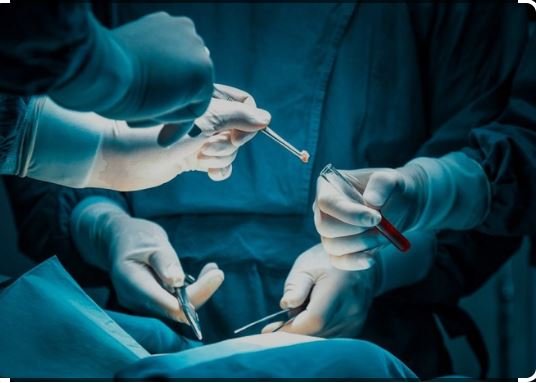 Sancionada lei que institui o Dia Nacional do Cirurgião Oncológico