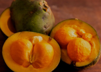 Segue para o Senado projeto de Flávia Morais que torna o pequi patrimônio cultural brasileiro